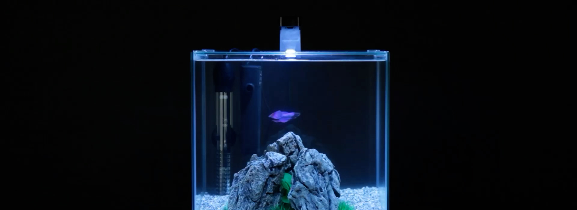 Where to buy fish tank stand